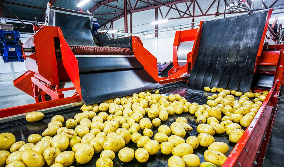 El valor de las exportaciones hortofrutícolas a EEUU crece casi un 34% en el primer trimestre de 2024